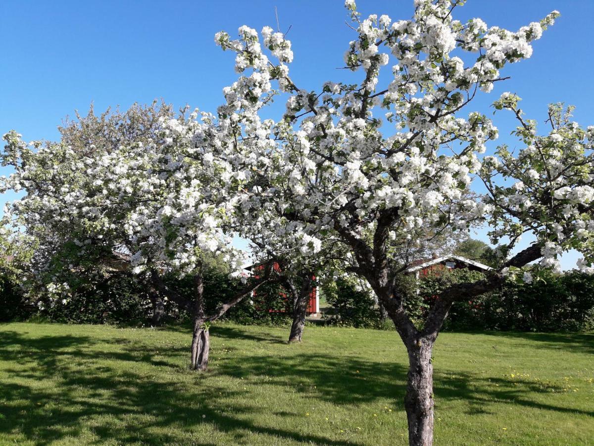 Mellomgarden Vila Norra Lundby Exterior foto